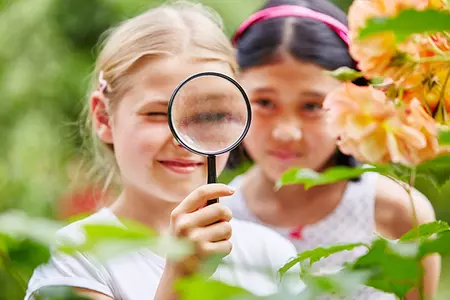 Skolelever i Håbo kommun ska få lära om möjligheter för en hållbar utveckling